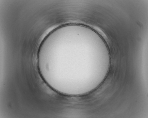 X0000113371287200910131313