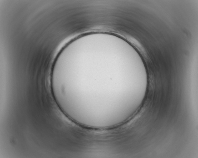 X0000113371288200910131313