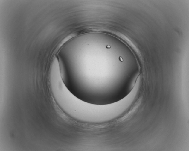 X0000113371289200910131313