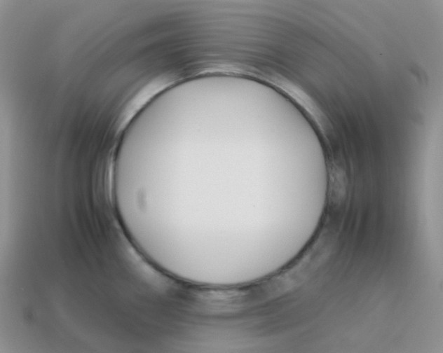 X0000113371290200910131313