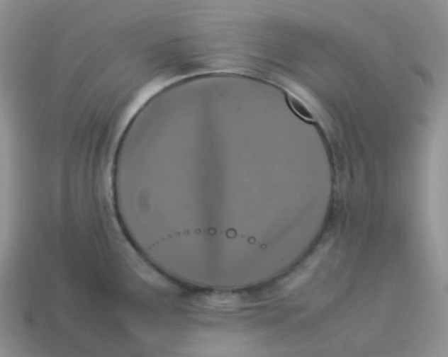 X0000113371291200910131313