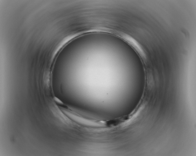 X0000113371292200910131313