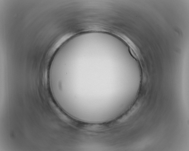 X0000113371293200910131313