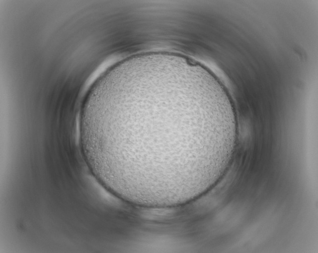 X0000113371294200910131313