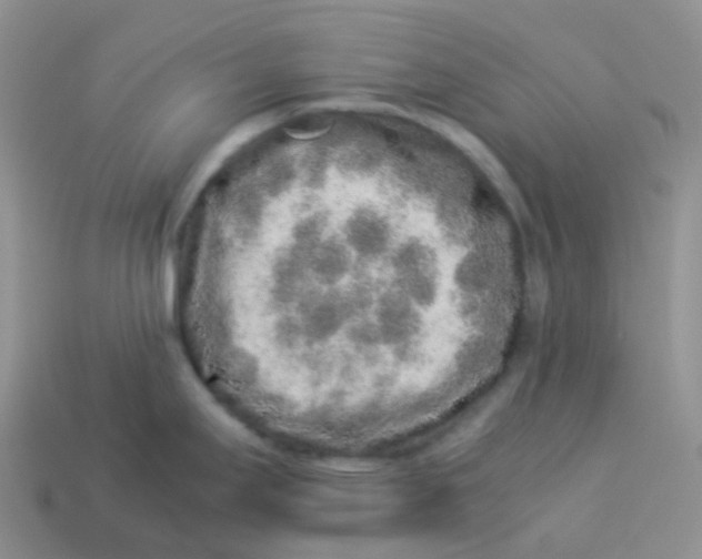 X0000113371295200910131313