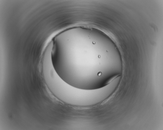 X0000113371296200910131313