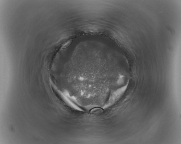 X0000113371297200910131313