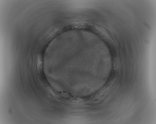 X0000113371298200910131313