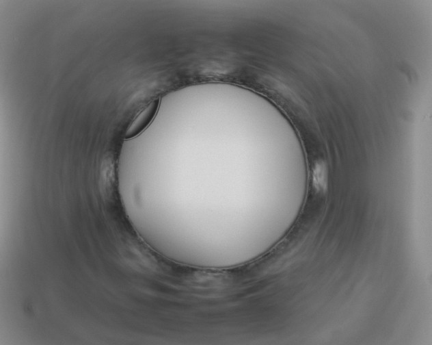 X0000113371299200910131313
