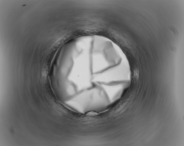 X0000113371300200910131313