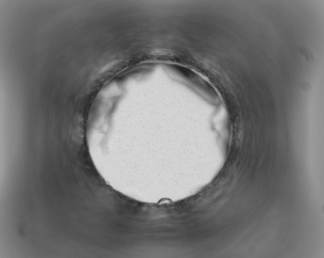 X0000113371301200910131313