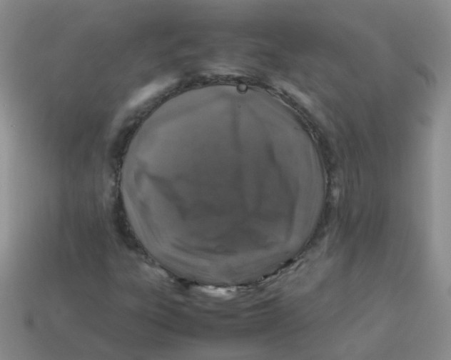 X0000113371303200910131313