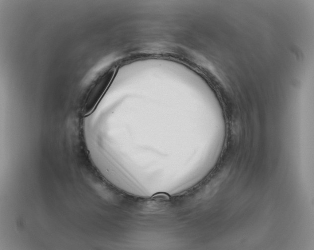 X0000113371304200910131313
