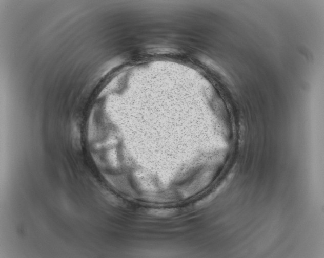X0000113371305200910131313