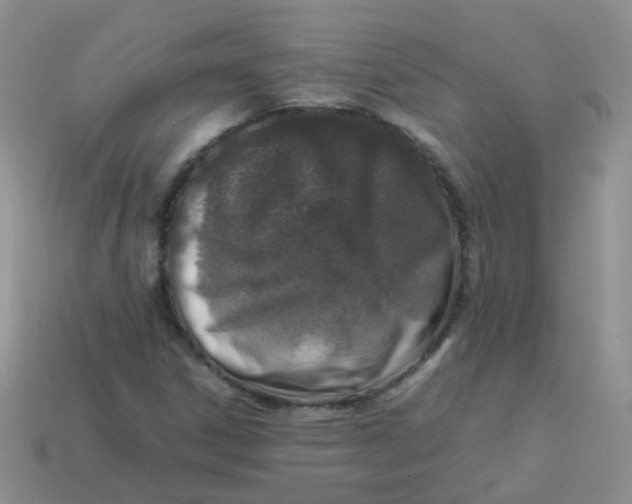 X0000113371306200910131313