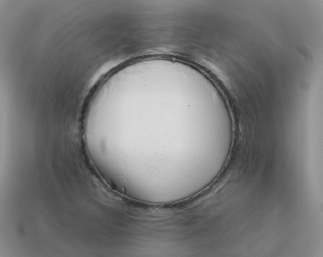 X0000113371308200910131313