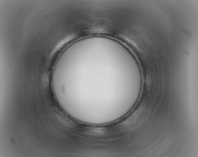X0000113371309200910131313