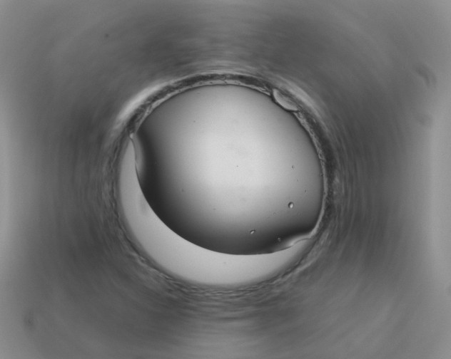 X0000113371310200910131313