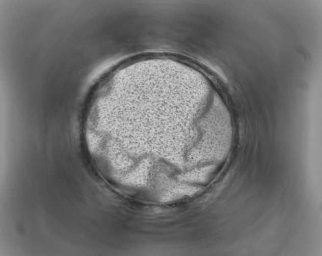 X0000113371311200910131313