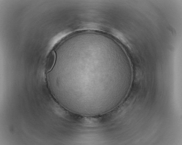 X0000113371312200910131313