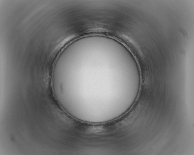 X0000113371313200910131313