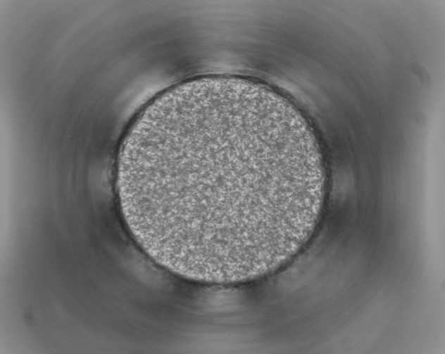 X0000113371314200910131313