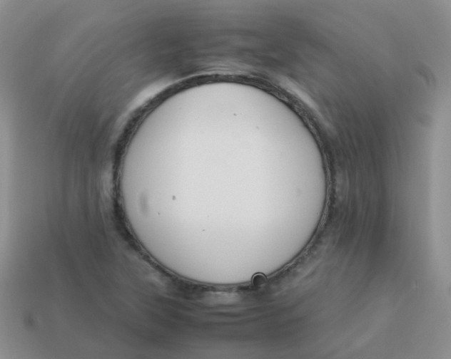 X0000113371315200910131313