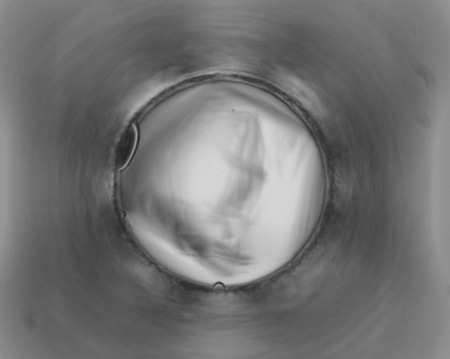 X0000113371316200910131313