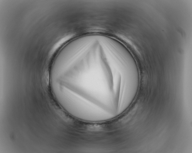 X0000113371317200910131313