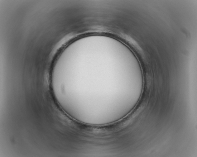 X0000113371318200910131313