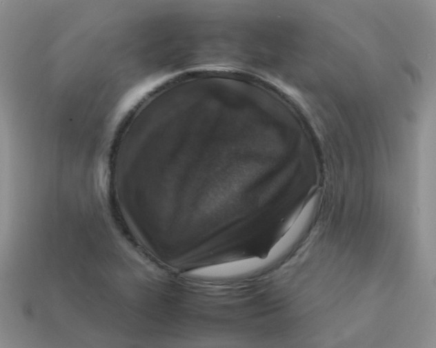 X0000113371319200910131313