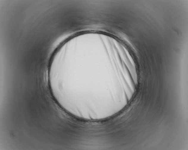 X0000113371320200910131313