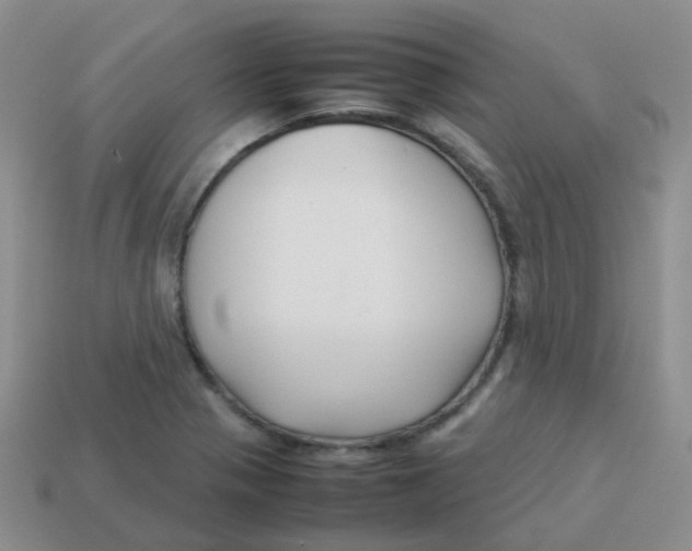 X0000113371321200910131313