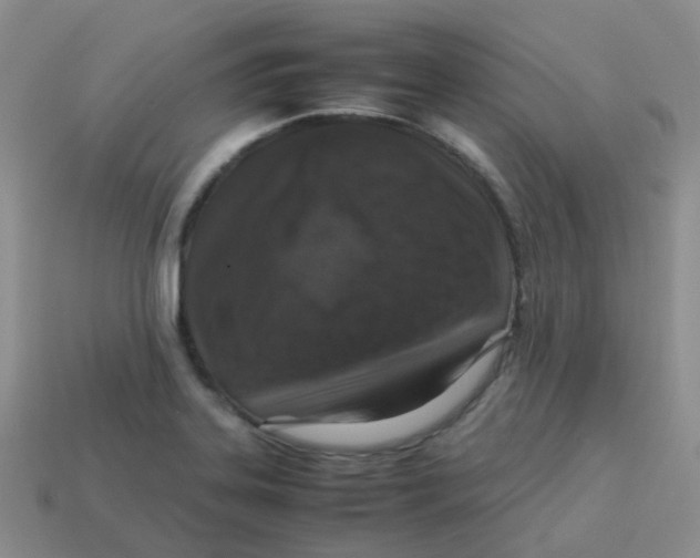 X0000113371323200910131313