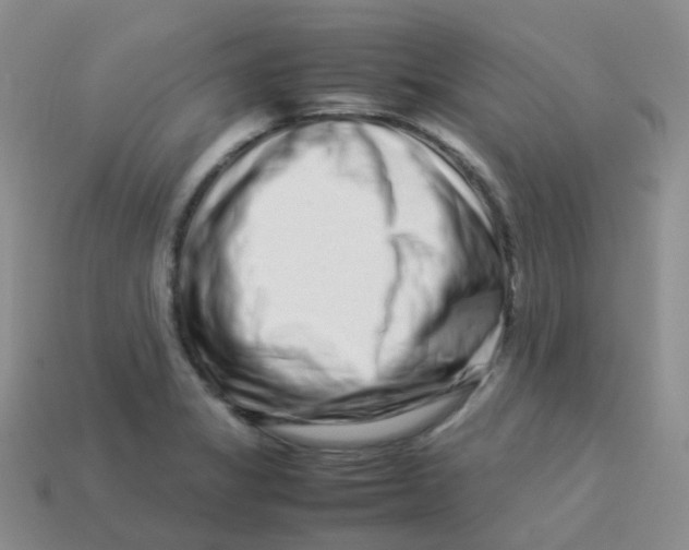 X0000113371325200910131313
