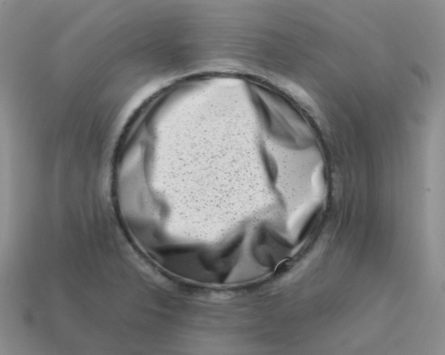X0000113371326200910131313
