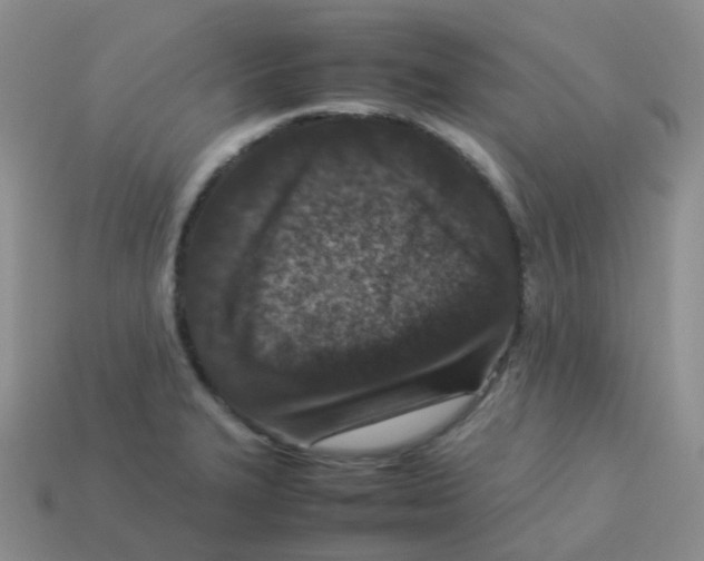 X0000113371327200910131313