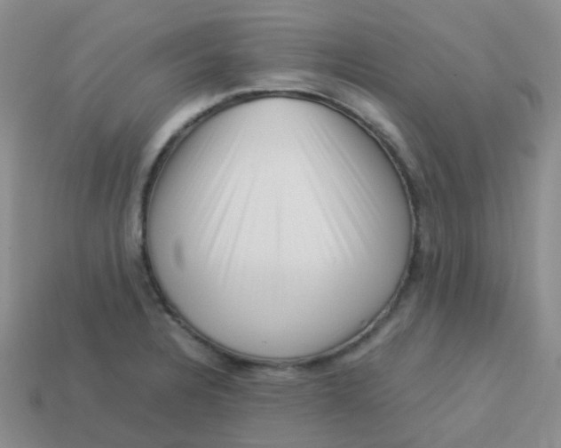 X0000113371328200910131313