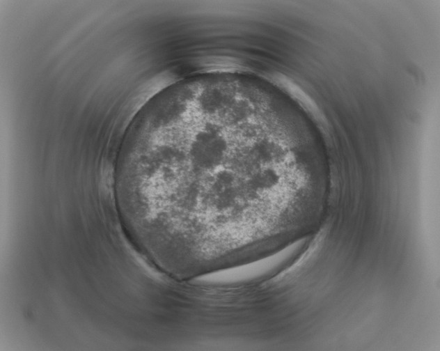 X0000113371329200910131313