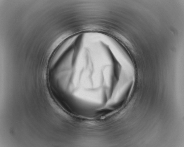 X0000113371330200910131313