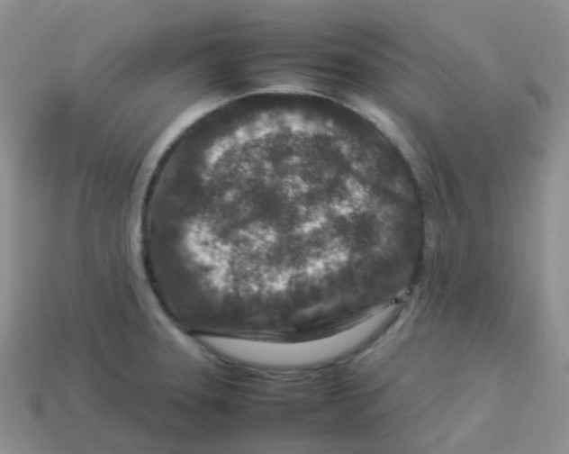 X0000113371331200910131313