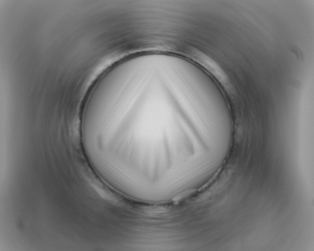 X0000113371332200910131313