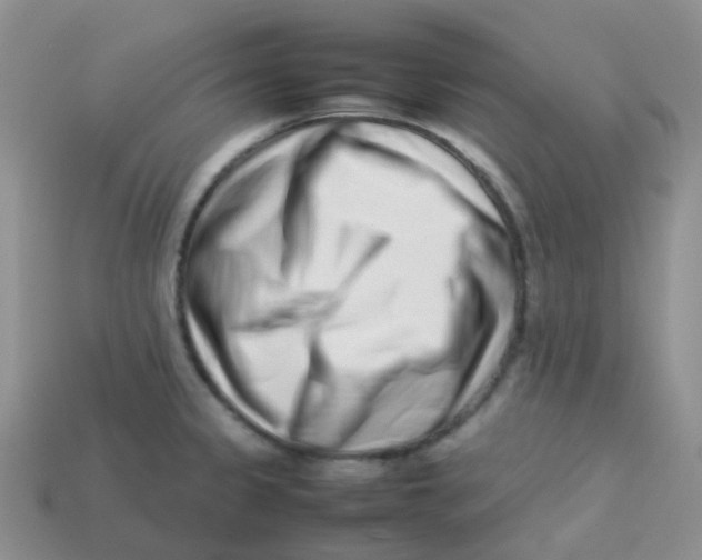 X0000113371333200910131313