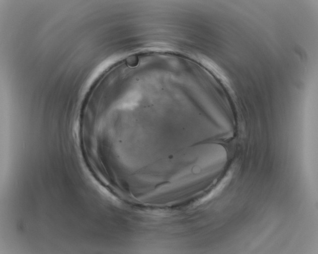 X0000113371334200910131313