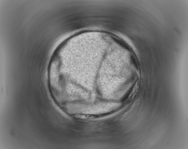 X0000113371335200910131313