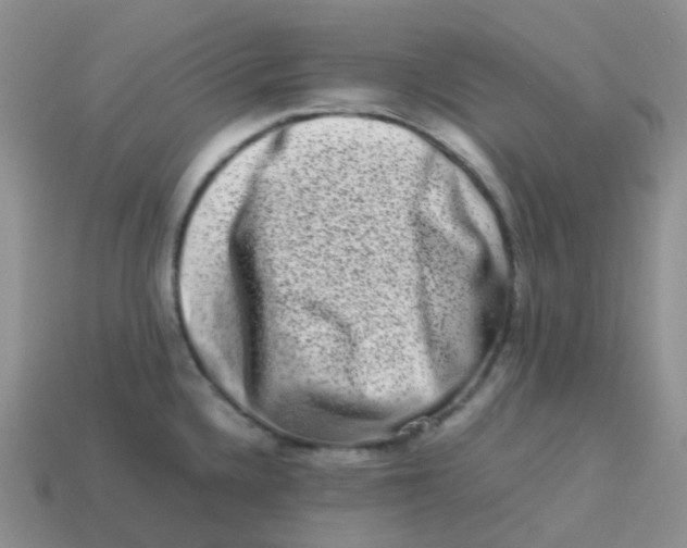 X0000113371336200910131313