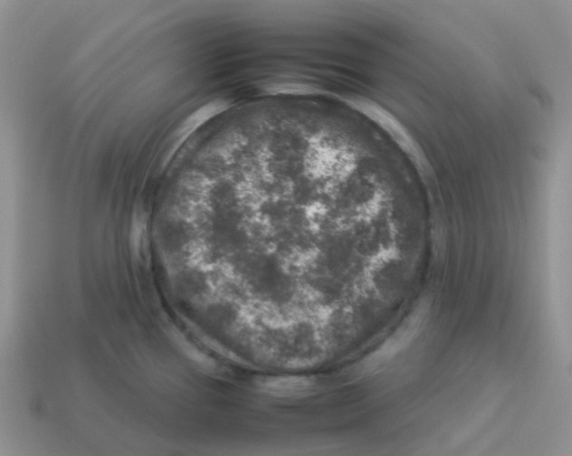 X0000113371337200910131313