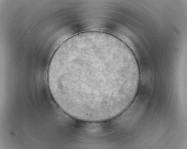 X0000113371338200910131313