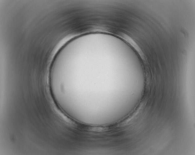 X0000113371339200910131313