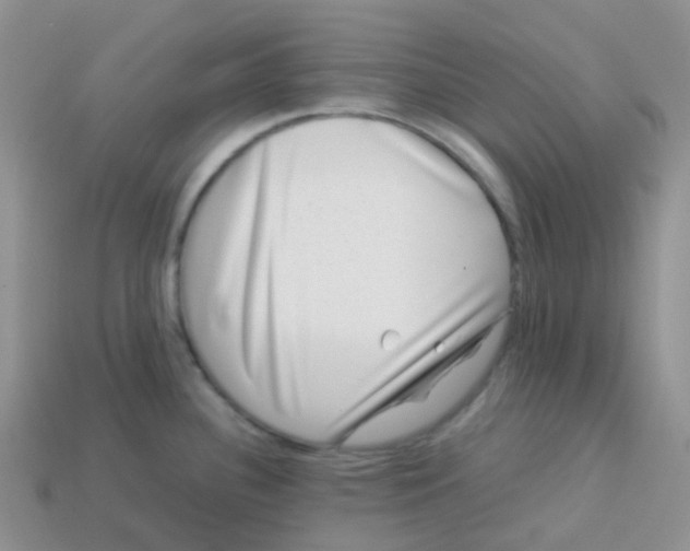 X0000113371340200910131313
